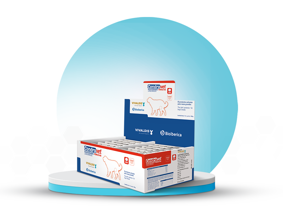 condrovet-large-breeds