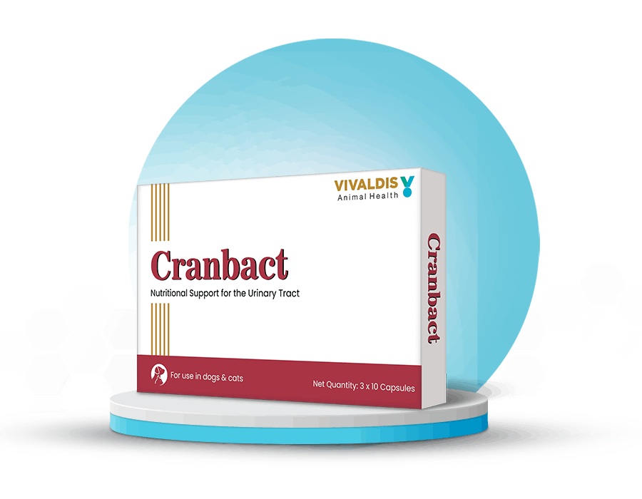 cranbact
