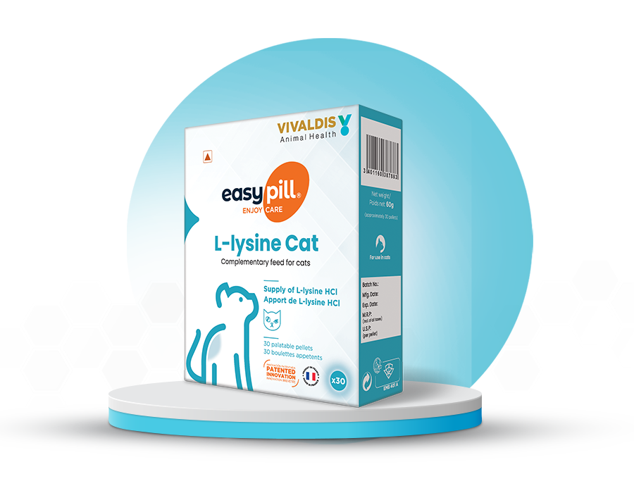 easy-pill-l-lysine