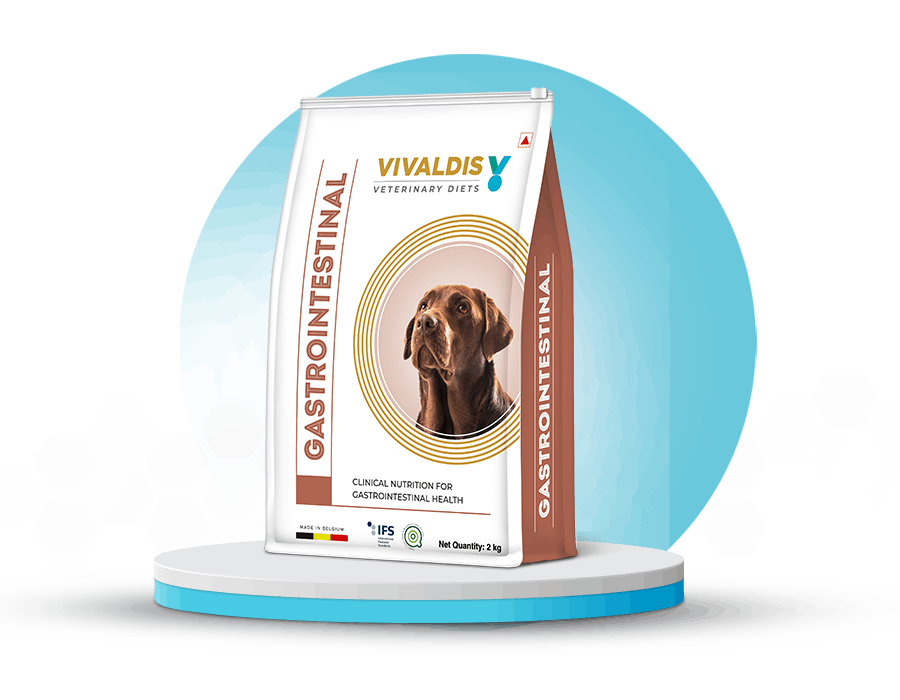 Gastrointestinal-Dog