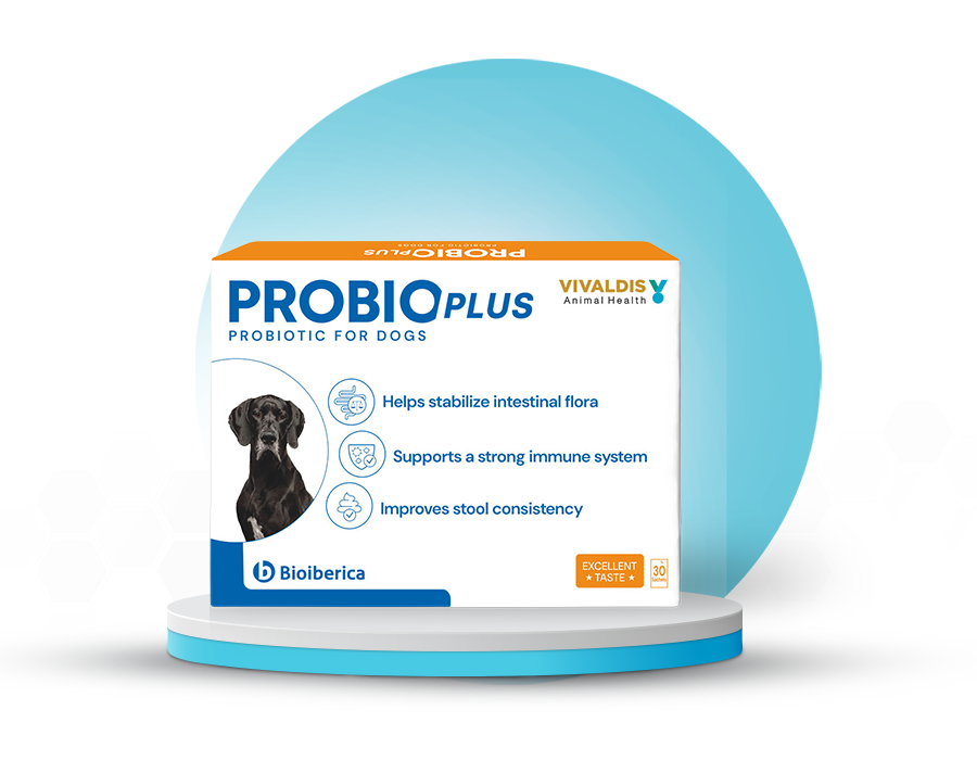 Hypoallergenic Product