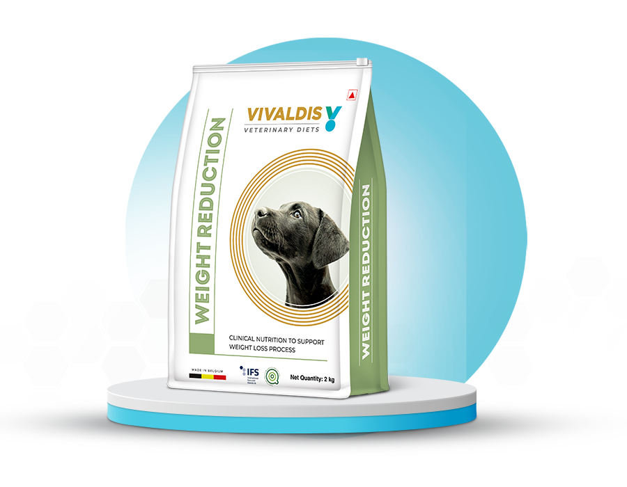 Weight Reduction Dog